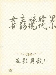 女主嫁给男主他爸的现代小说