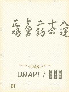 正月二十八的属鸡男的命运