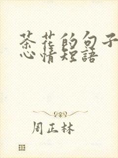 茶花的句子唯美心情短语