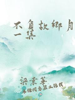 不负故乡月最后一集