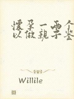 怀孕一两个月可以做亲子鉴定吗