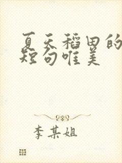 夏天稻田的句子短句唯美