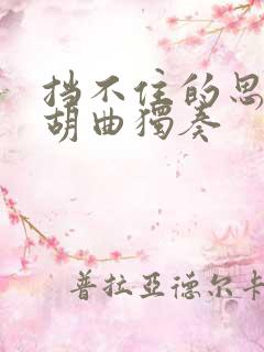 挡不住的思念二胡曲独奏