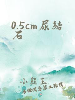0.5cm尿结石