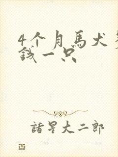 4个月马犬多少钱一只