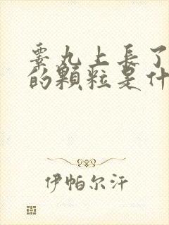 睾丸上长了白色的颗粒是什么