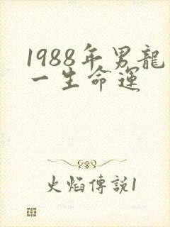 1988年男龙一生命运