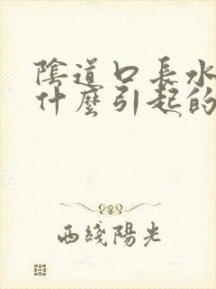 阴道口长水泡是什么引起的