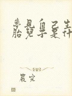 梦见自己生双胞胎儿子是什么兆头