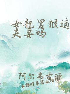 女龙男猴适合做夫妻吗