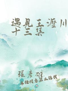 遇见王沥川第二十三集