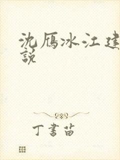 沈雁冰江建忠小说