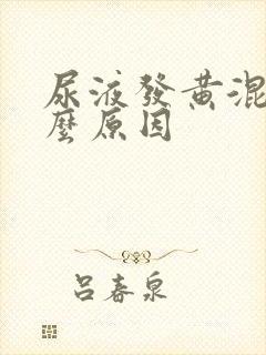 尿液发黄混浊什么原因