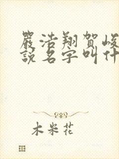 严浩翔贺峻霖小说名字叫什么