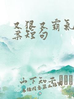 又狠又霸气的文案短句