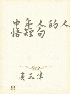 中年人的人生感悟短句