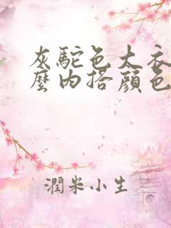 灰驼色大衣配什么内搭颜色好看