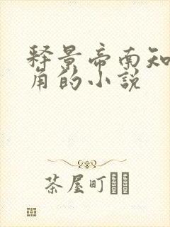 释景帝南知意主角的小说