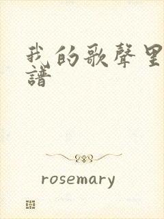 我的歌声里吉他谱