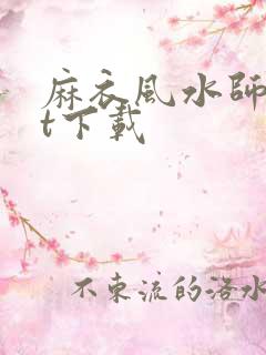 麻衣风水师txt下载