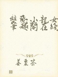 双飞小龙女黄蓉笔趣阁在线阅读