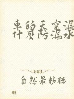 车的天窗漏水用什么防漏水