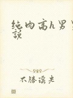 纯肉高h男男小说