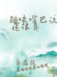 猫咪嘴巴流粘液 还很臭