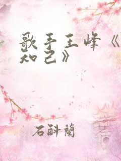 歌手王峰《红颜知己》