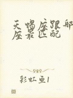 天蝎座跟哪个星座最匹配