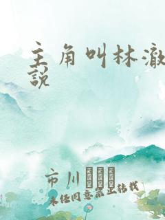 主角叫林澈的小说