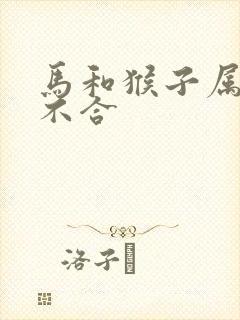 马和猴子属相合不合