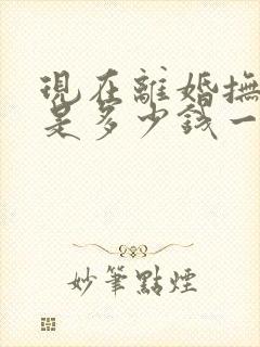 现在离婚抚养费是多少钱一个月