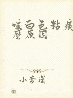 咳白色粘痰是什么原因