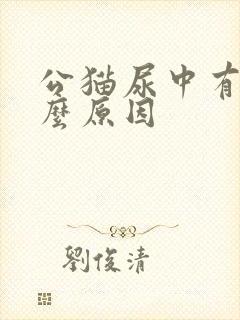 公猫尿中有血什么原因