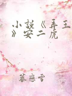 小说《弄玉偷香》安二虎