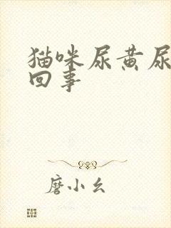 猫咪尿黄尿怎么回事