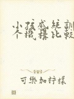 小孩感统训练哪个机构比较好