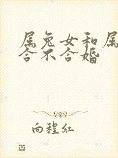 属兔女和属马的合不合婚