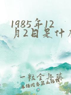 1985年12月2日是什么星座