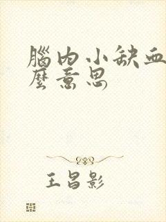 脑内小缺血灶什么意思