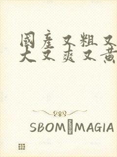 国产又粗又猛又大又爽又黄