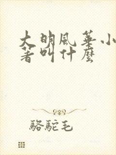 大明风华小说原著叫什么