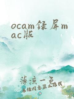 ocam录屏mac版