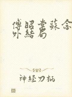 傅昭棠苏念安番外结局