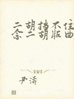 二胡挡不住的思念二胡版曲谱