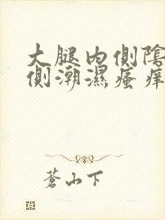 大腿内侧阴囊两侧潮湿瘙痒