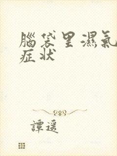 脑袋里湿气重的症状