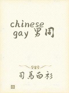 chinese gay 男同