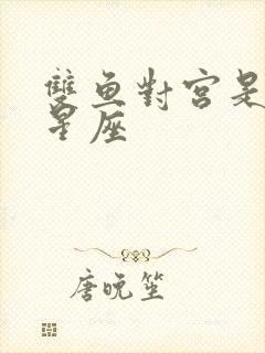 双鱼对宫是什么星座